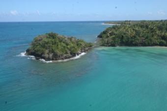 Robert Michael & Company Samana